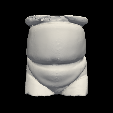 Abdominal surface mesh sample 3